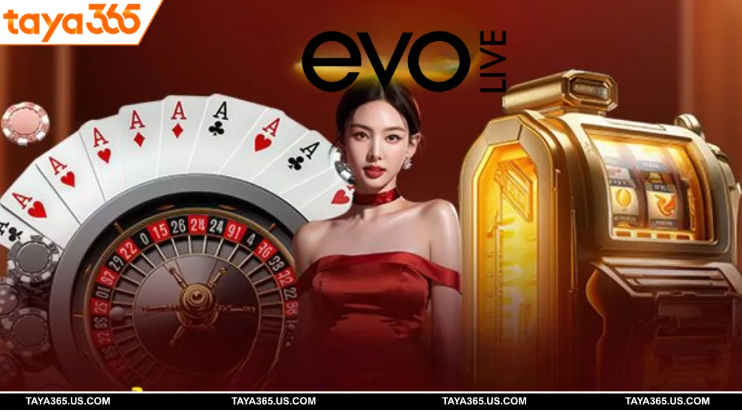 Experience playing EVO Live effectively at TAYA365