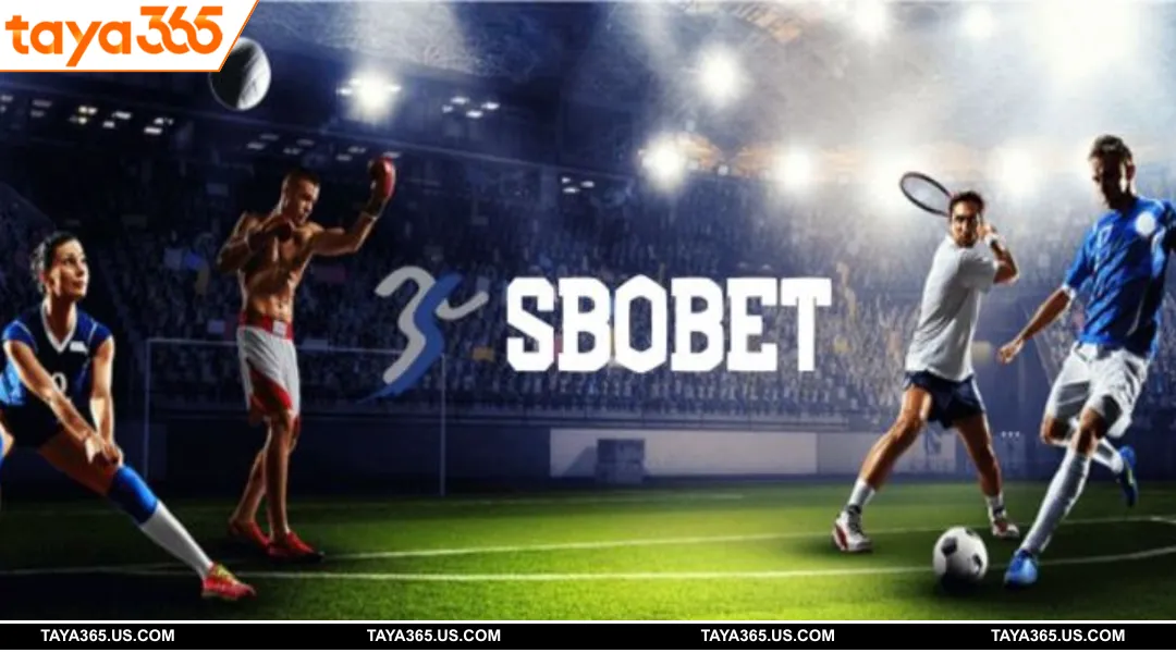 Secrets to increase winning rate when playing SBO Sports